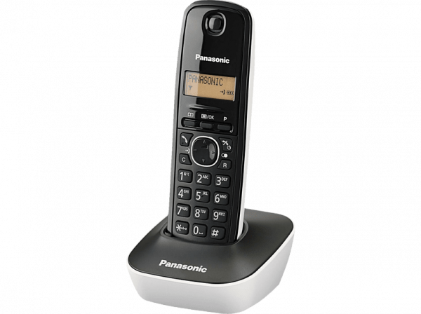 KX-TG1611 3994 14099
